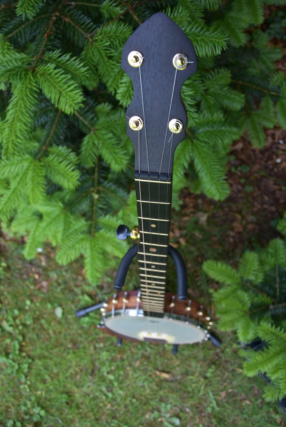5 Strenget Openback banjo nr. 10