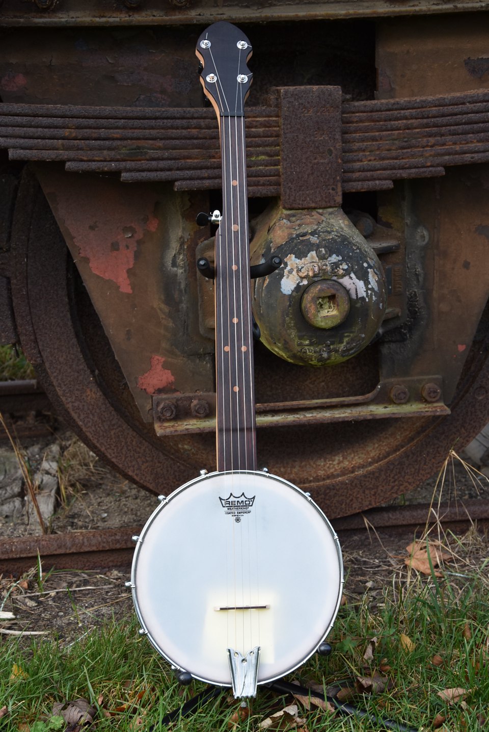 5 Strenget Fretless banjo