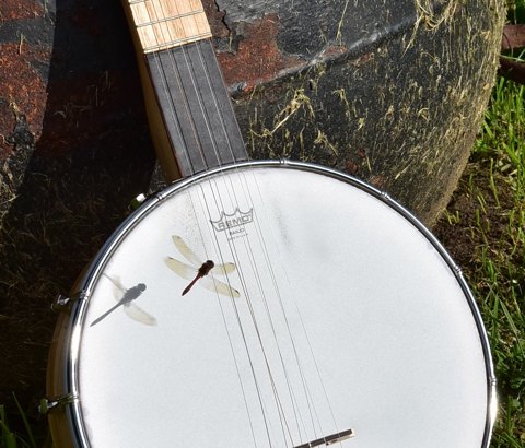 5 Strenget Openback banjo 11E