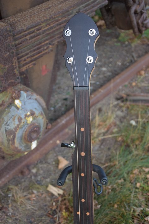 5 Strenget Fretless banjo