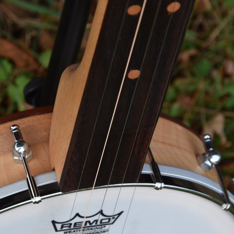 5 Strenget Fretless banjo