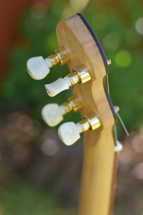 5 Strenget Longneck banjo nr.9 Basis Model