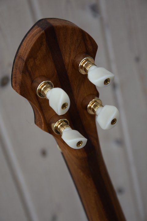Plectrum Banjo