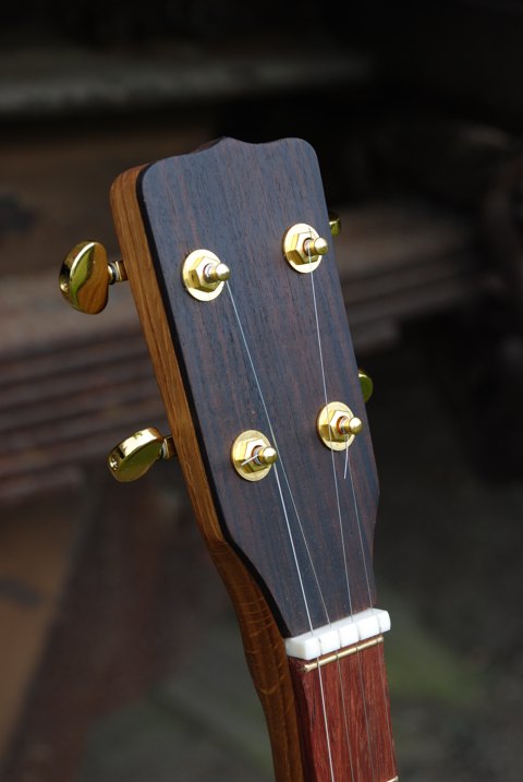 5 Strenget Longneck banjo