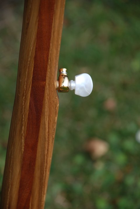 5 Strenget Longneck banjo