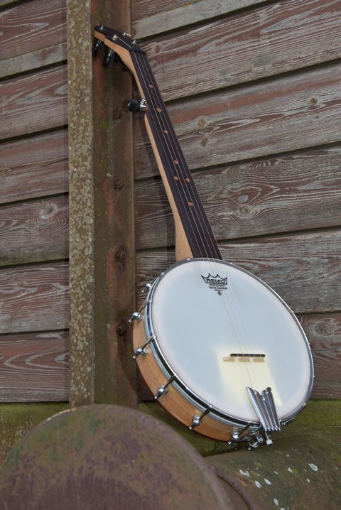 5 Strenget Fretless banjo