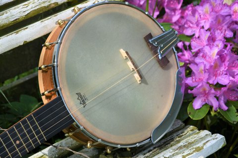 5 Strenget Openback banjo nr. 17-19 NX