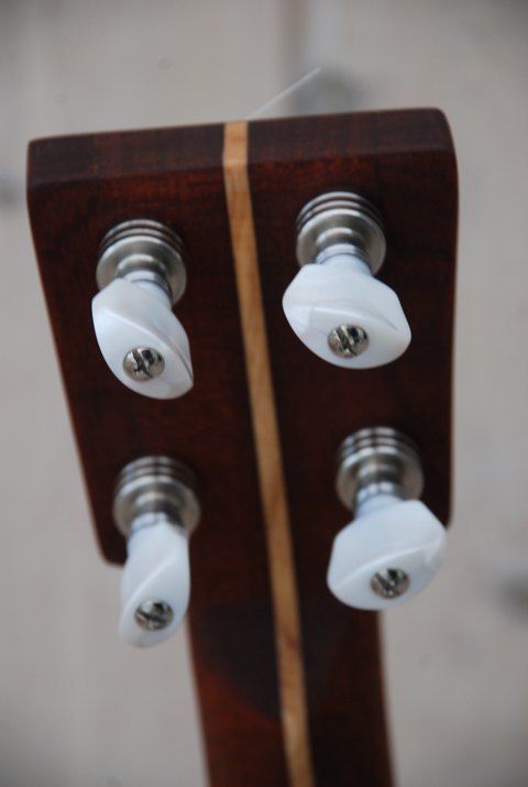 5 Strenget Openback Mahogni banjo nr.4