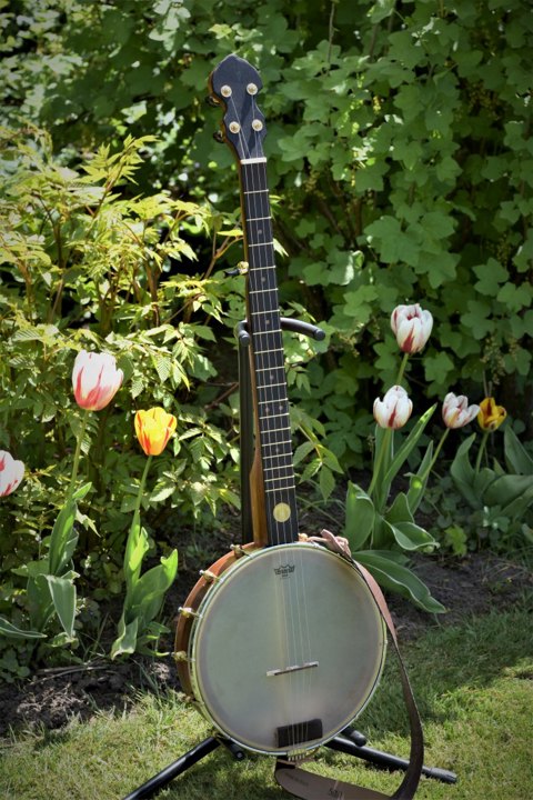 Banjo nr.22