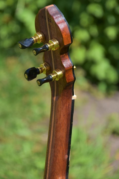 Banjo nr.22